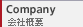 Company/ЊTv