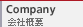 Company/ЊTv